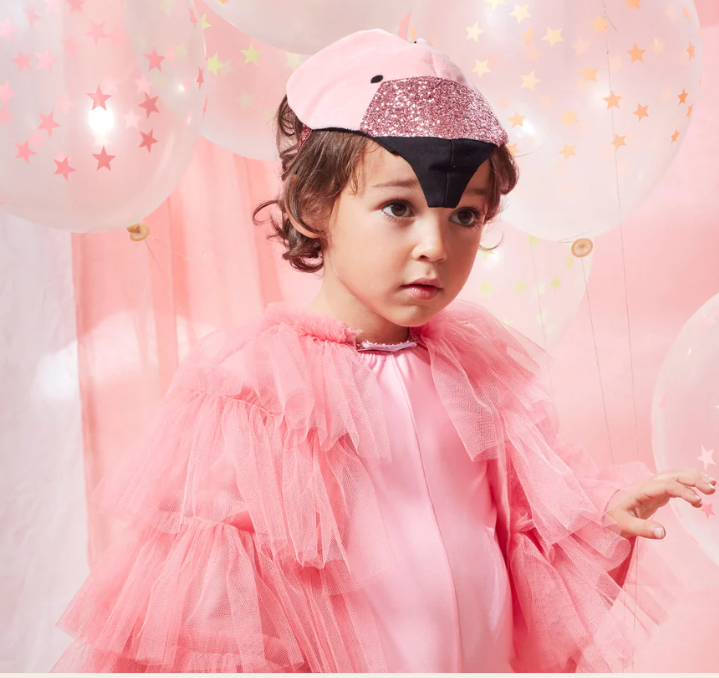 flamingo dress Flamingo Cape Dress-Up Kit 3-6 Years