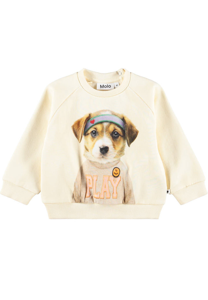Disc Game Pup Sweatshirt by Molo