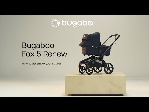 Fox 5 Renew Stroller