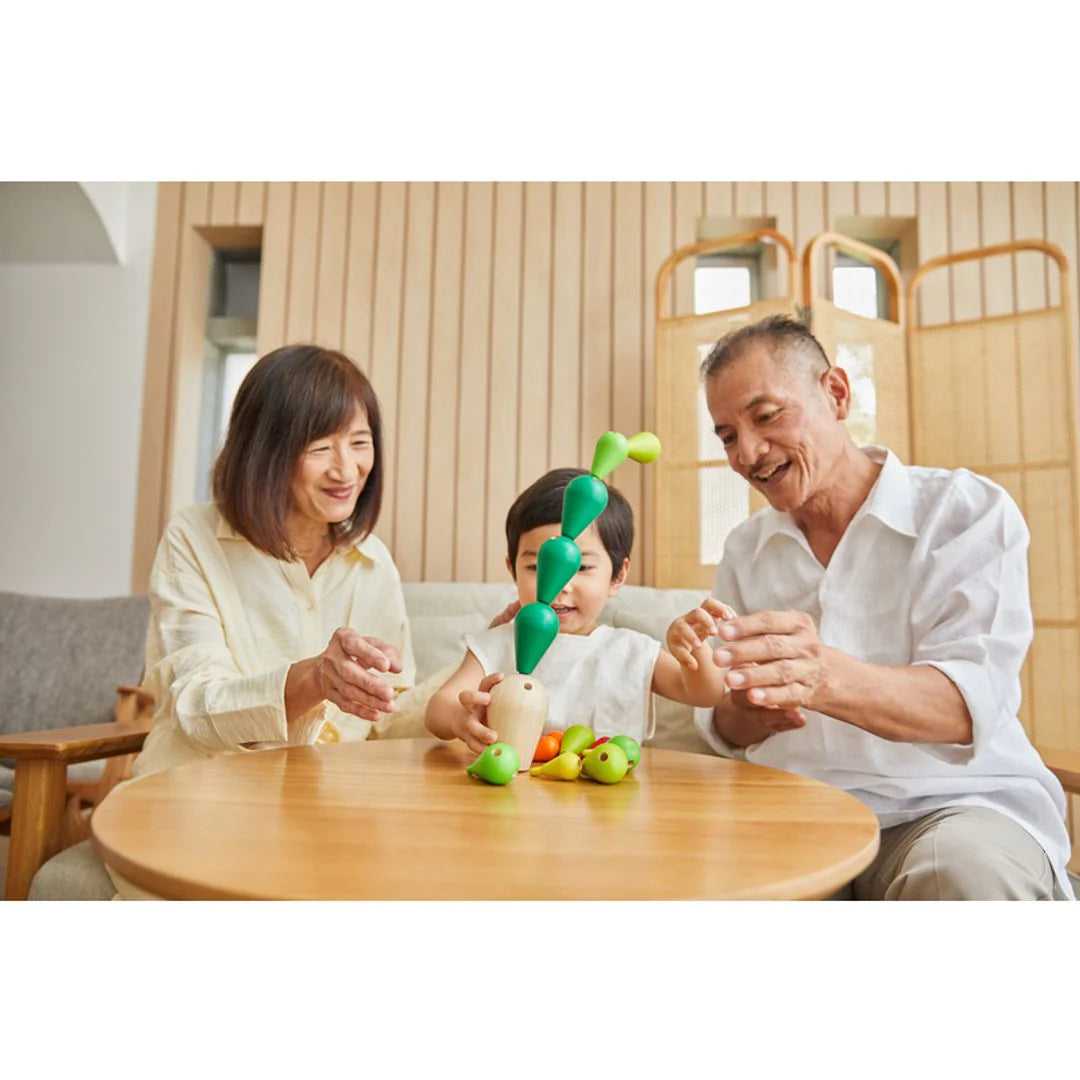balance kaktus Balancing Cactus – Babesta
