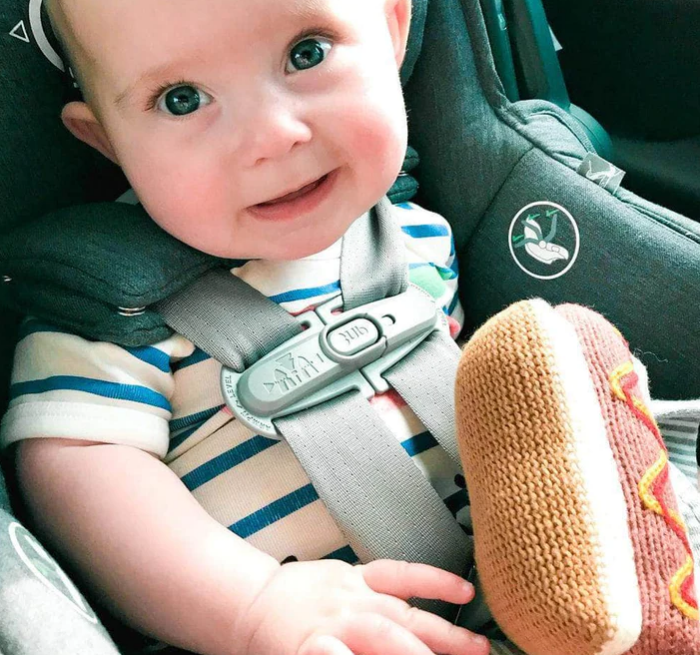 Hot Dog Rattle - Babesta