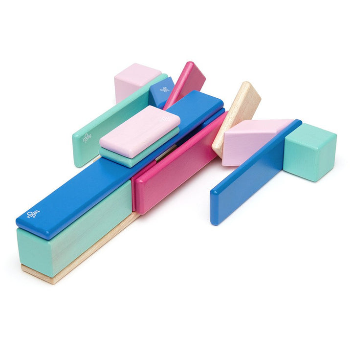 Magnetic Wooden Blocks - Blossom - 24 piece