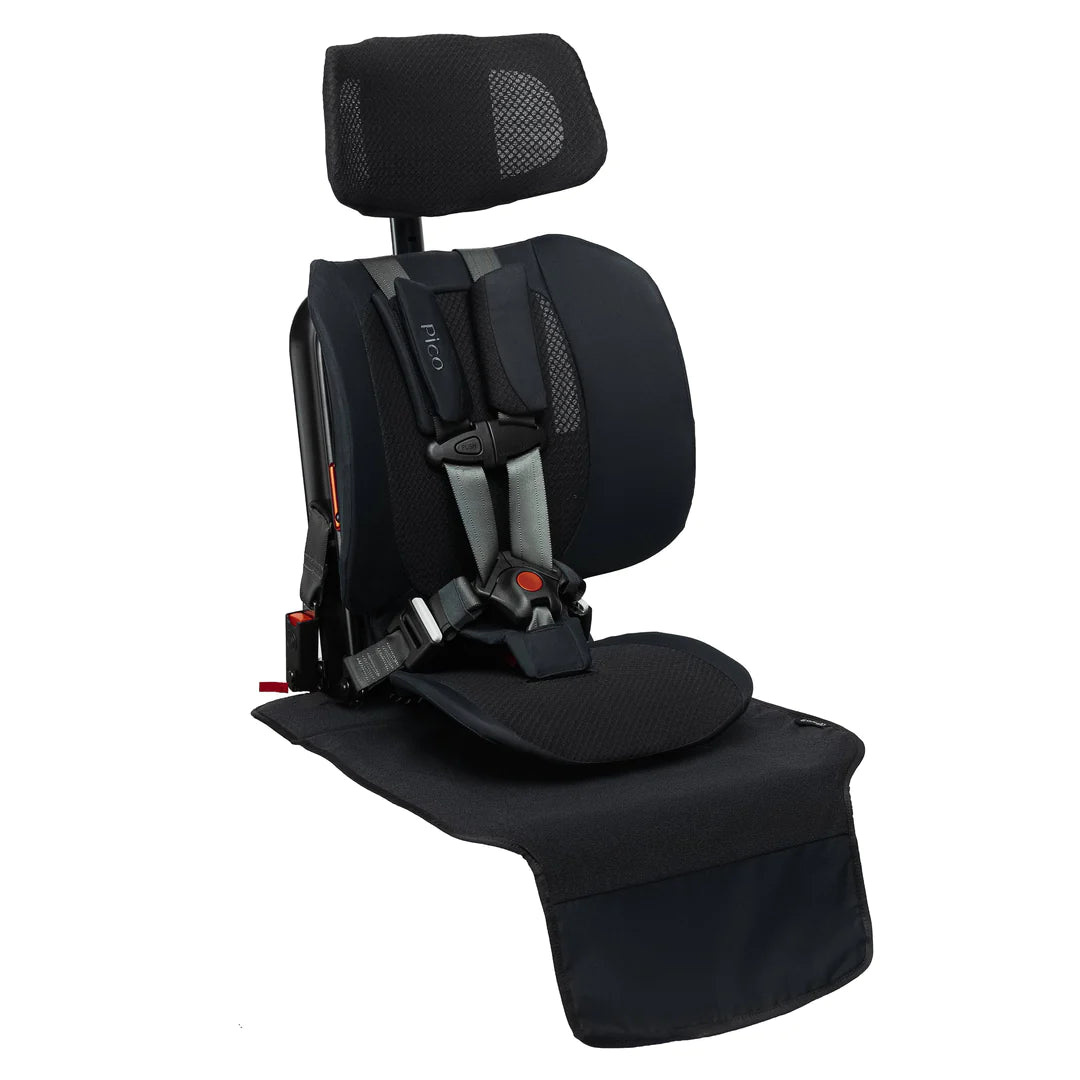 Vehicle Seat Protector